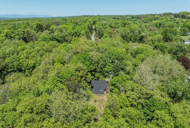 3 Hilltop Rd, Poughkeepsie, NY 12601 - drone / aerial view of a heavily wooded area