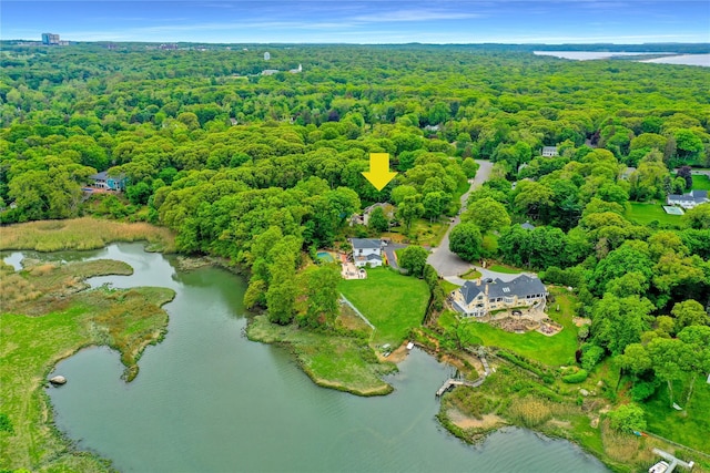 12 Mill River Rd, Setauket, NY 11733 - aerial view of property's location featuring a heavily wooded area and a large body of water