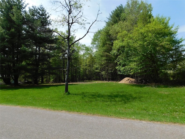 Lackawack Hill Rd, Napanoch, NY 12458
