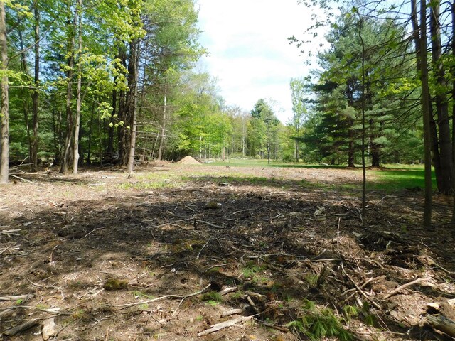Lackawack Hill Rd, Napanoch, NY 12458