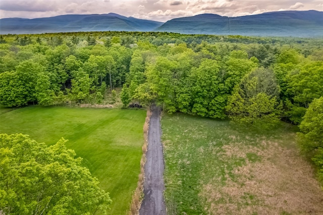 Mossy Hill Rd, Catskill, NY 12414