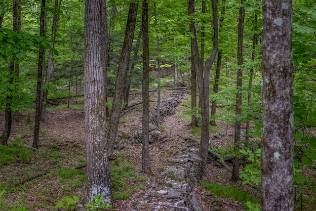 Mossy Hill Rd, Catskill, NY 12414
