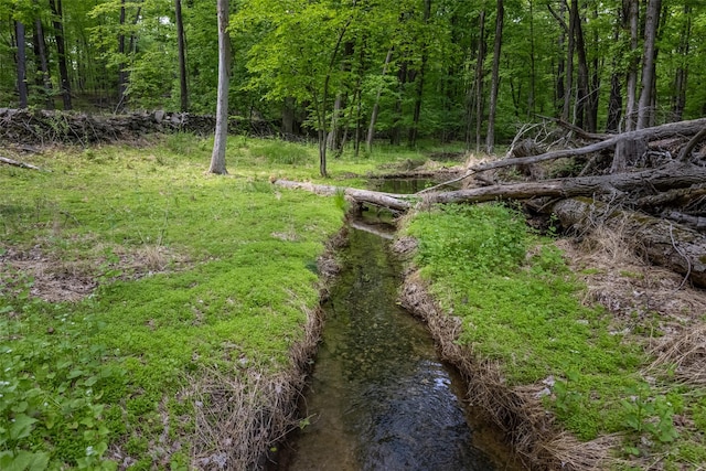 Mossy Hill Rd, Catskill, NY 12414