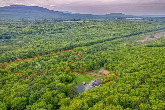 Mossy Hill Rd, Catskill, NY 12414
