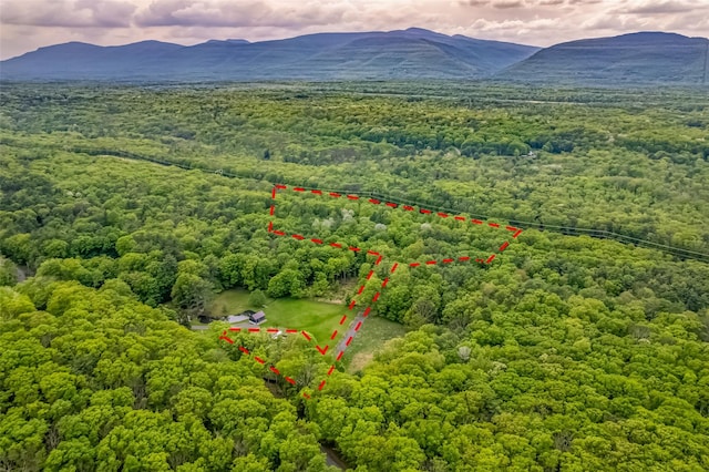 Mossy Hill Rd, Catskill, NY 12414