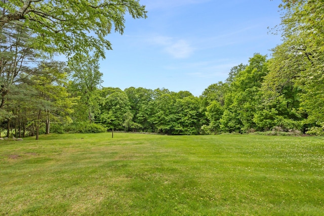 1825 Morningview Dr, Yorktown Heights, NY 10598 - photo 28