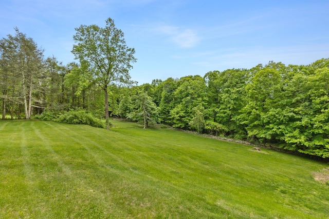 1825 Morningview Dr, Yorktown Heights, NY 10598 - photo 30
