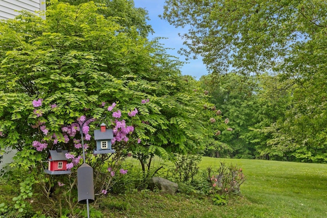 1825 Morningview Dr, Yorktown Heights, NY 10598 - photo 41