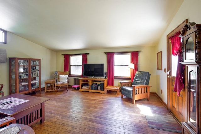 living area with lofted ceiling, wood-type flooring, and radiator heating unit