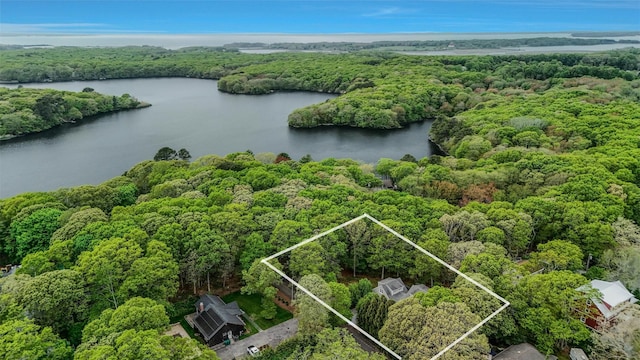 11 The Pkwy, Southampton, NY 11968 - aerial view of property and surrounding area with a forest, a nearby body of water, and property boundaries highlighted