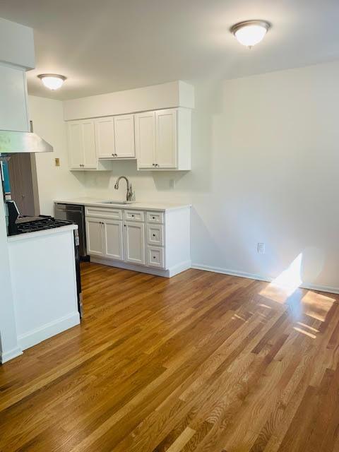 82 Demarest Ave Unit 15, West Nyack, NY 10994 - kitchen featuring wood finished floors, white cabinets, under cabinet range hood, and a sink