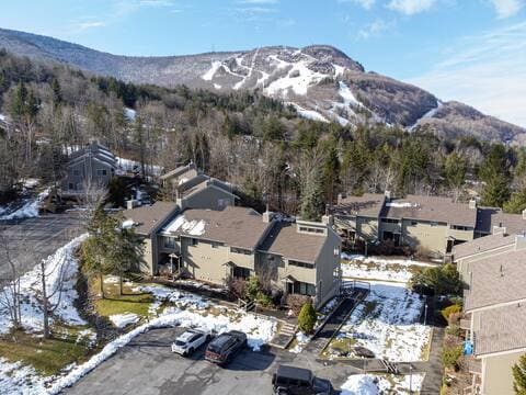 76 Highlands Dr Unit C2, Hunter, NY 12442 - snowy aerial view featuring a mountain view