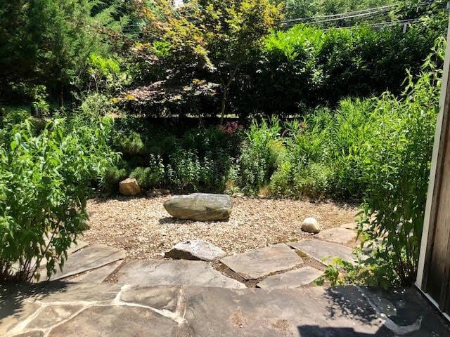 view of yard with a patio area