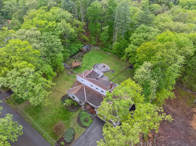 162 Forest Hill Dr, Kingston, NY 12401 - aerial view of a forest