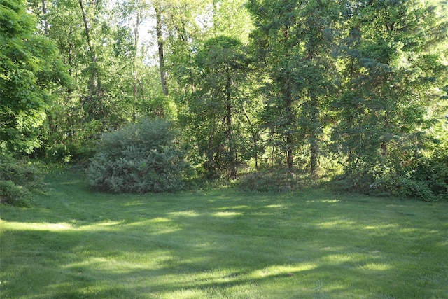 25 Cypher Ln, Poughquag, NY 12570 - view of green lawn with a view of trees