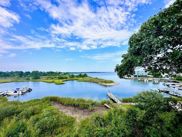 55 W End Ave, East Quogue, NY 11942 - water view with a boat dock