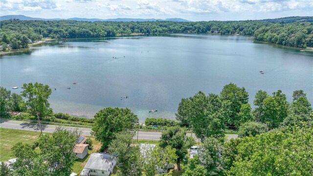 60 Hibiscus Cir Unit 60, Hopewell Junction, NY 12533 - photo 10