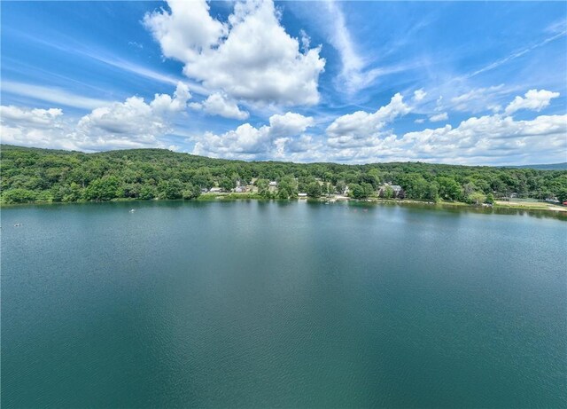 60 Hibiscus Cir Unit 60, Hopewell Junction, NY 12533 - photo 14