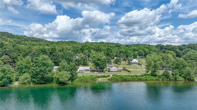 60 Hibiscus Cir Unit 60, Hopewell Junction, NY 12533 - photo 18