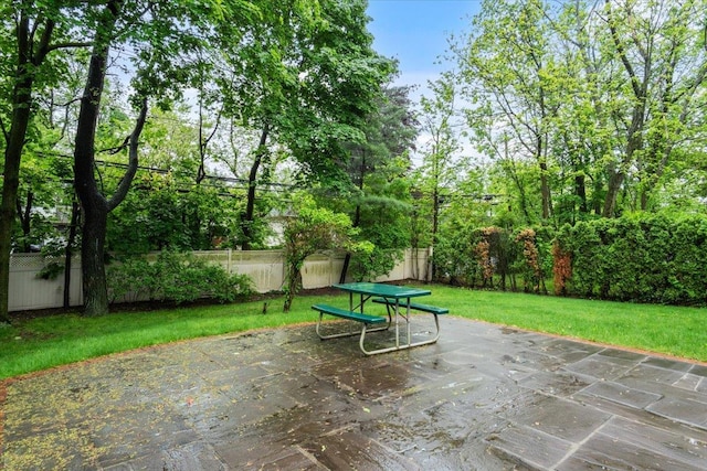 29 Sunset Rd S, Albertson, NY 11507 - view of patio