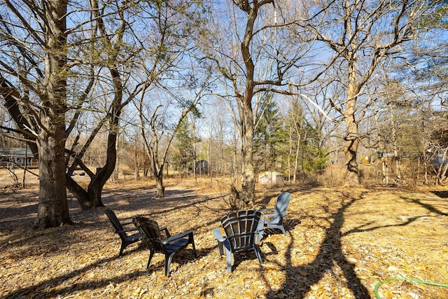 3 Holt Rd, Red Hook, NY 12571 - view of yard