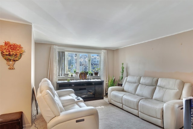 1257 E 87th St, Brooklyn, NY 11236 - living area featuring carpet flooring, ornamental molding, and a glass covered fireplace