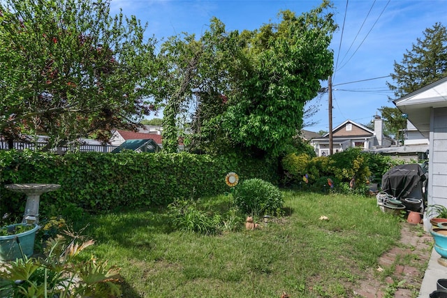1257 E 87th St, Brooklyn, NY 11236 - view of yard