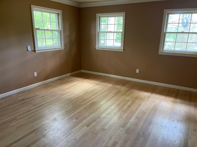 7 Beaver Dr, Locust Valley, NY 11560 - empty room featuring light wood-type flooring, baseboards, and ornamental molding
