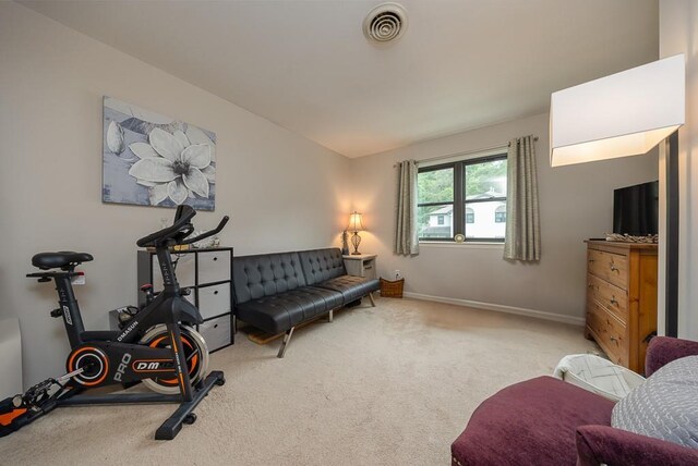 71 Frank Ct, Monroe, NY 10950 - carpeted living area with baseboards and vaulted ceiling