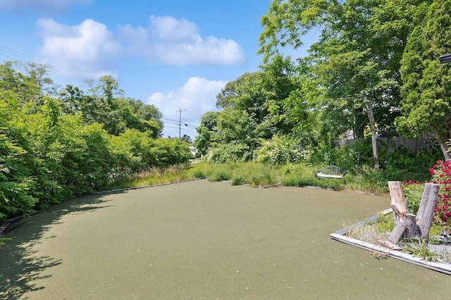 8 N Railroad Ave, Jamesport, NY 11901 - view of yard