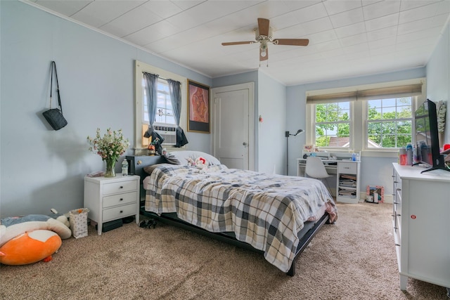 24 Park St, Kingston, NY 12401 - carpeted bedroom featuring ceiling fan and crown molding