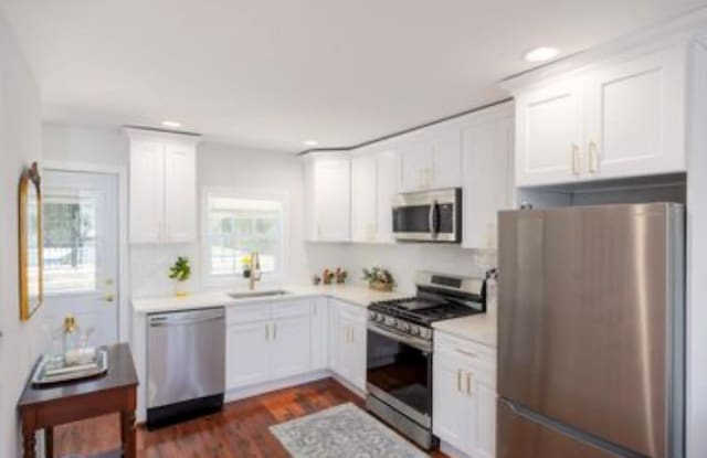 kitchen featuring stainless steel appliances, white cabinetry, a sink, light countertops, and dark wood-style flooring