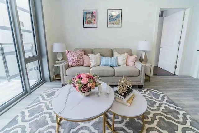 144-27 Sanford Ave Unit 2K, Flushing, NY 11355 - living room with plenty of natural light and wood finished floors