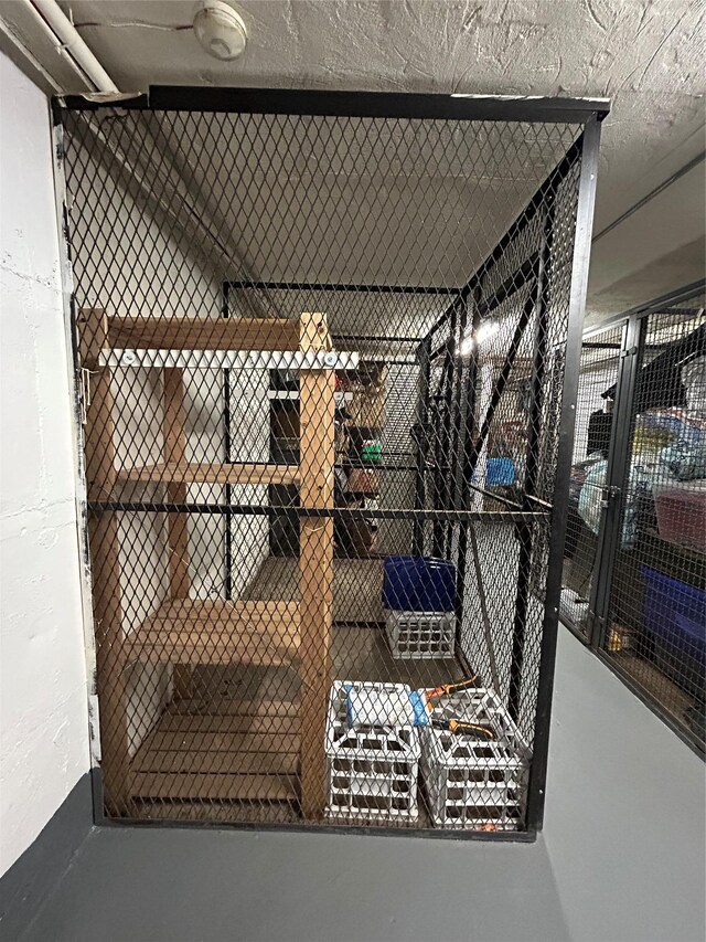 8 W Mill Dr Unit 1B, Great Neck, NY 11021 - view of storage