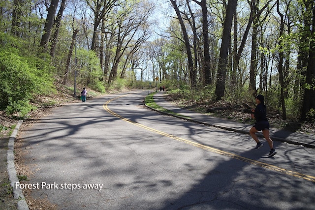 83-55 Lefferts Blvd Unit 1E, Kew Gardens, NY 11415 - view of asphalt road with a forest view