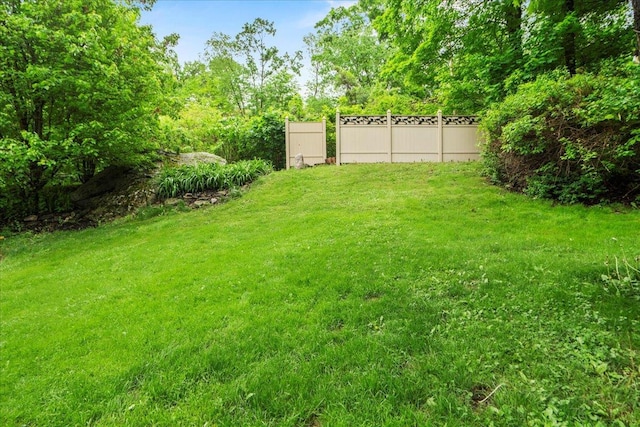 3 Pine Ln, Greenwood Lake, NY 10925 - view of yard