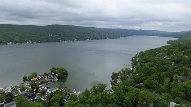 3 Pine Ln, Greenwood Lake, NY 10925 - water view featuring a heavily wooded area