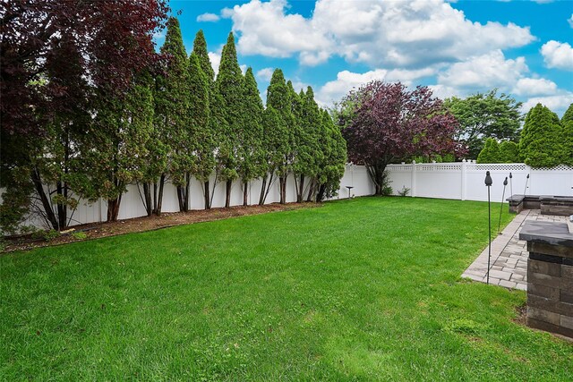 2448 6th Ave, East Meadow, NY 11554 - view of yard with a patio area