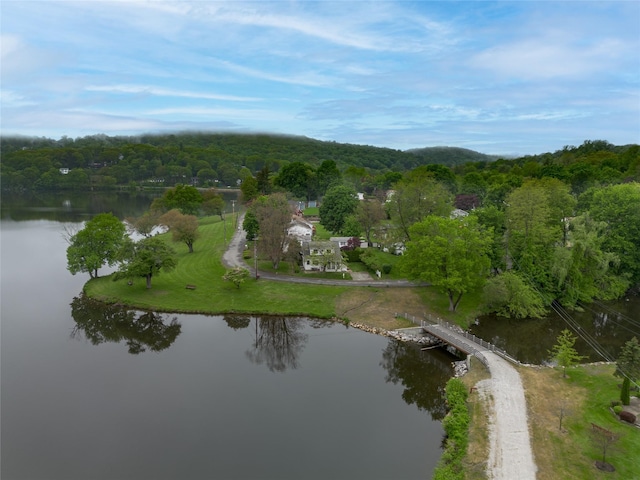 47 Champlain Dr, Carmel, NY 10512 - photo 29