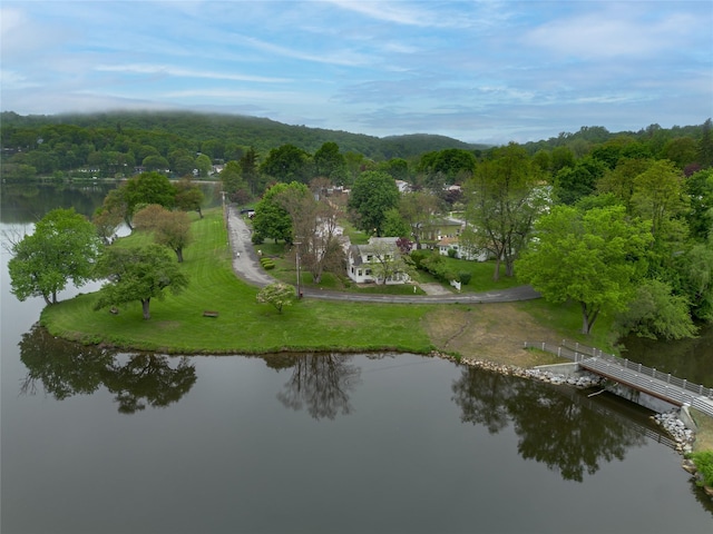47 Champlain Dr, Carmel, NY 10512 - photo 31