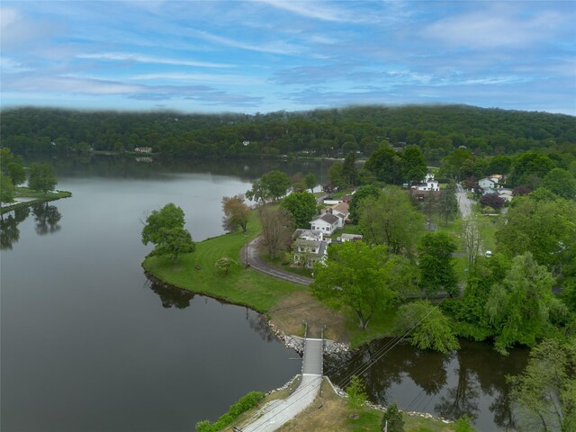 47 Champlain Dr, Carmel, NY 10512 - photo 33