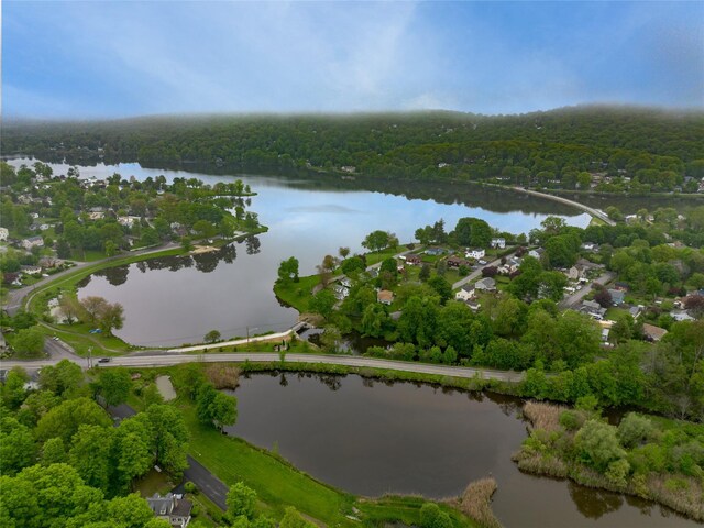 47 Champlain Dr, Carmel, NY 10512 - photo 36