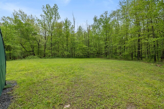 594 County Route 22, Middletown, NY 10940 - view of grassy yard with a view of trees