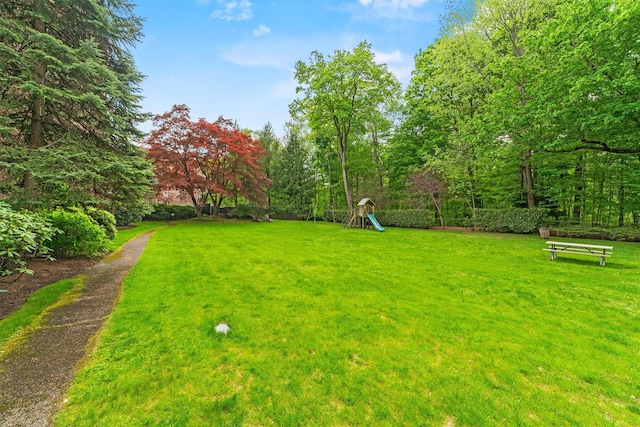 view of green lawn