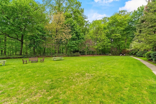 view of green lawn with a wooded view