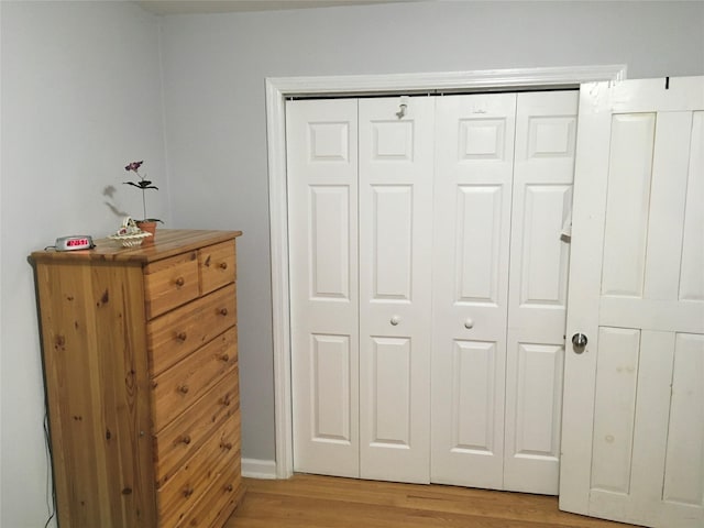 29 Nelshore Dr, Monticello, NY 12701 - bedroom with light wood finished floors
