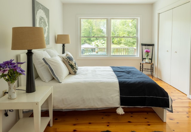 35 Jilroy Ln, Spencertown, NY 12165 - bedroom featuring multiple windows, wood finished floors, and a closet