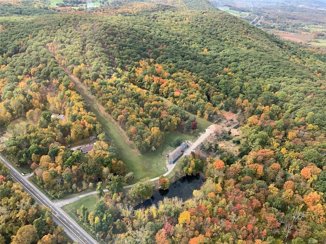 3412 Rte 52, Stormville, NY 12582 - aerial view of property's location with a forest