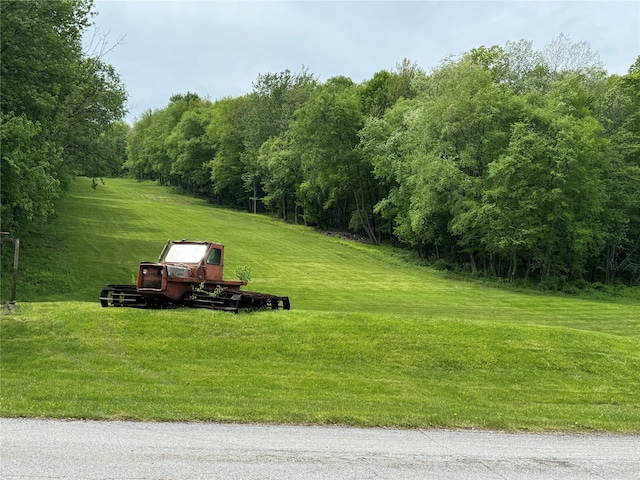 3412 Rte 52, Stormville, NY 12582 - view of grassy yard