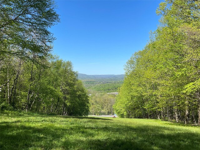 3412 Rte 52, Stormville, NY 12582 - view of mountain backdrop with a forest